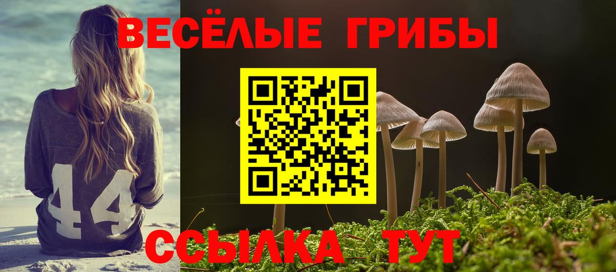Псилоцибиновые грибы мухоморы Гатчина